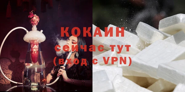 дживик Арсеньев