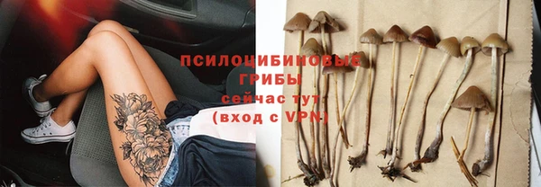 дживик Арсеньев