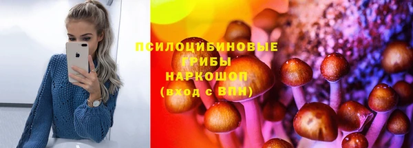 гашик Аркадак