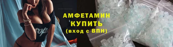 гашик Аркадак